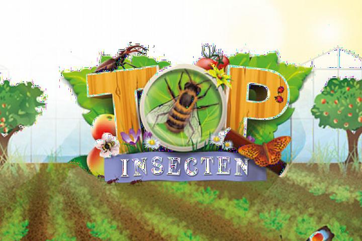 TOP insecten