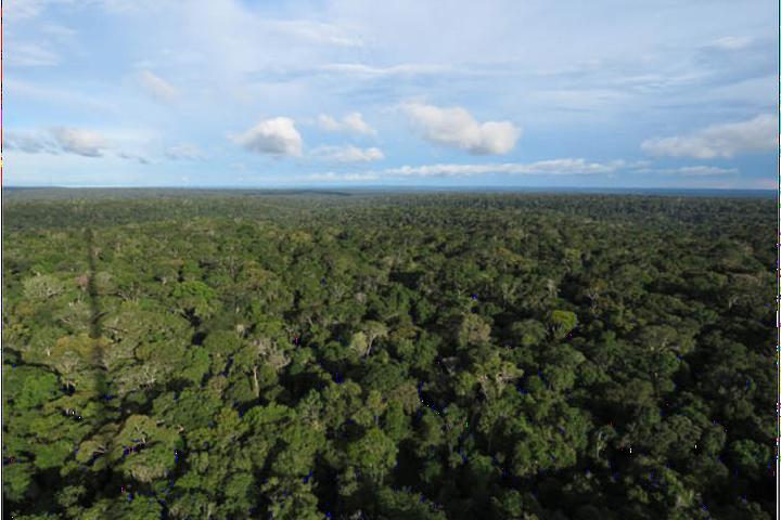 Amazonian atmosphere