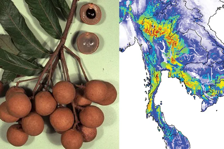 Climat change Thailand