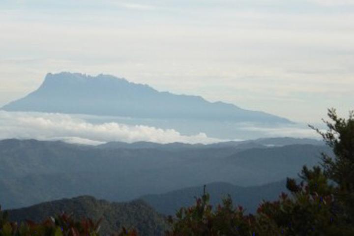 Kinabalu seen from Trusmadi