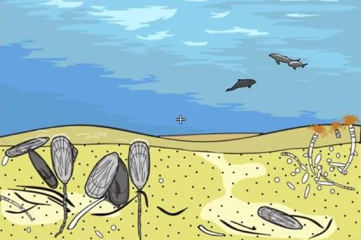 North Sea