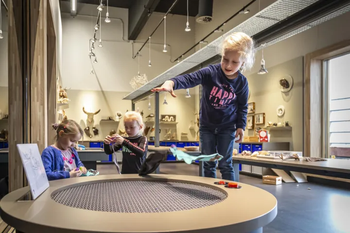 Lang zal Bonkie leven