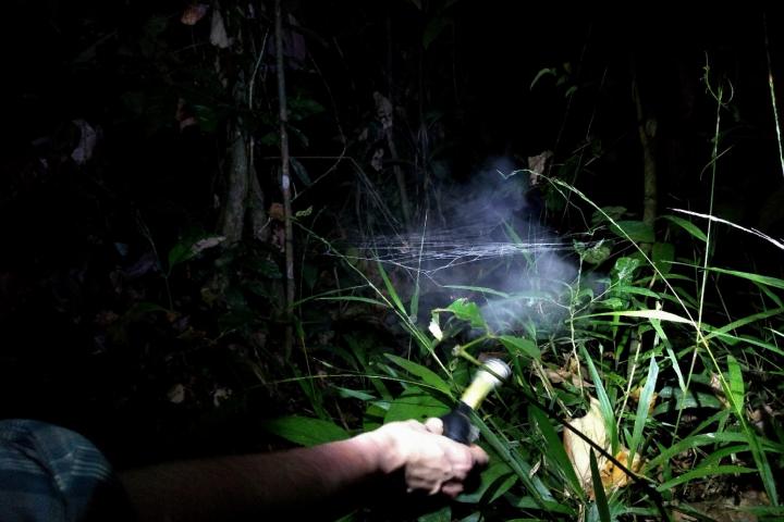 Jeremy Miller gebruikt zetmeel om de spinnenwebben zichtbaar te maken. Foto: Jun Lerou
