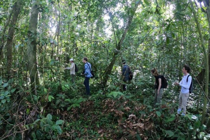 Op onderzoek in het bos