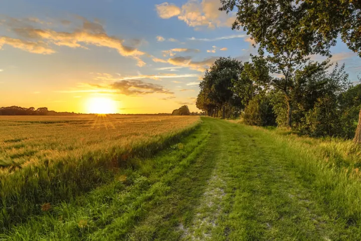 Getty 961285594 CreativeNature_nl