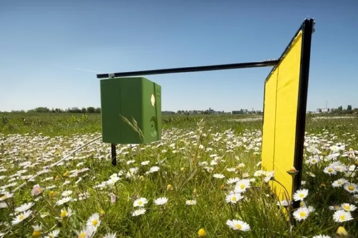 Automatische insectencamera