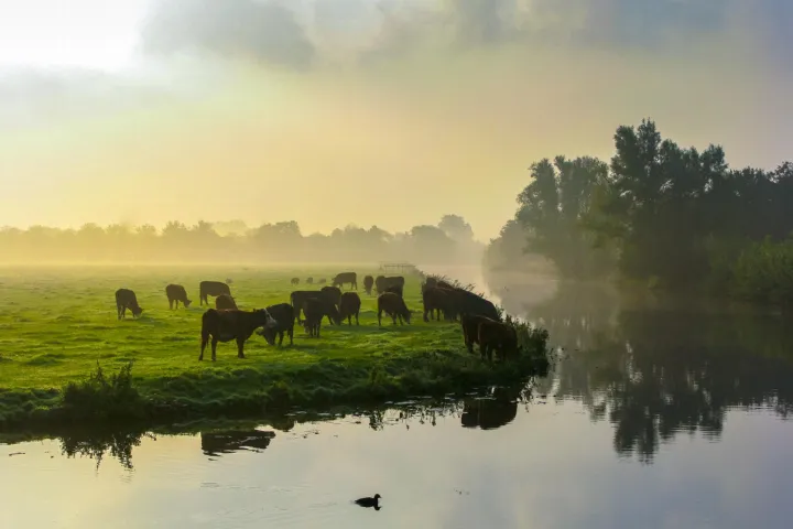Introducing the Centre of Excellence for Netherlands Biodiversity Research