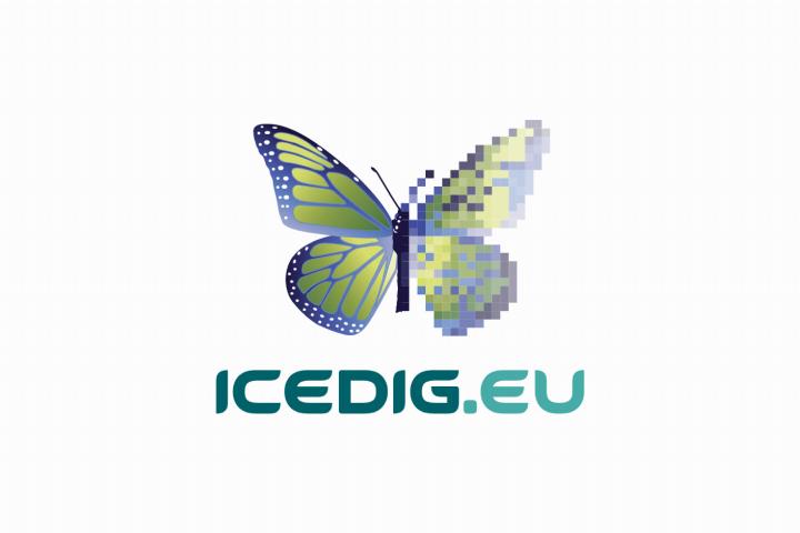 ICEDIG Design Study