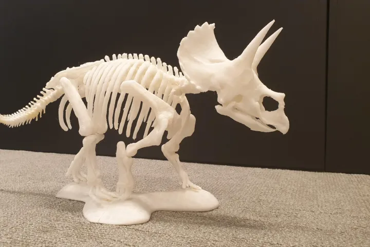 3D-print Triceratops