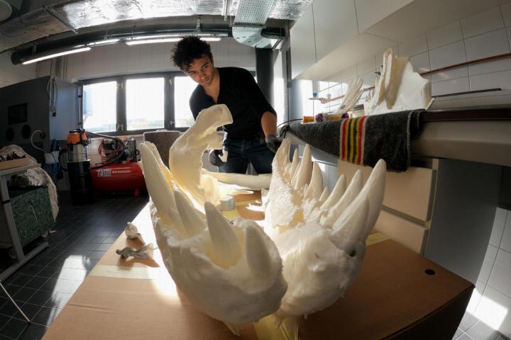 3D-modelleur en anatoom Pasha van Bijlert met de 3D-print van Trix