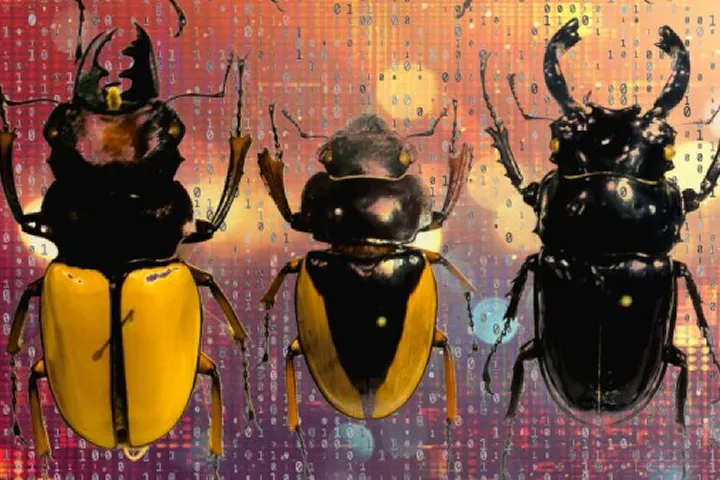 Beatles made digital