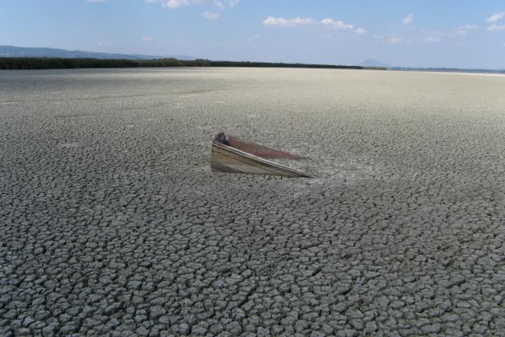 Het Volvi-meer (Griekenland) droogt op als gevolg van overmatige irrigatie voor landbouw in combinatie met klimaatverandering. Hiermee verdwijnt een zoetwater ecosysteem met haar soorten door menselijk handelen.