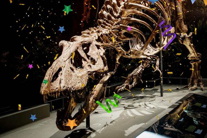 T. rex Trix met confetti