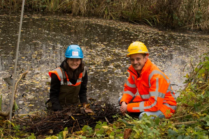 Het eerste verzamelde meerkoetnest in Vijfsluizen door hoogleraar Barbara Gravendeel van Naturalis Biodiversity Center en senior adviseur ecologie Vincent Nederpel van Heijmans voor onderzoek naar het effect van zwerfafval.