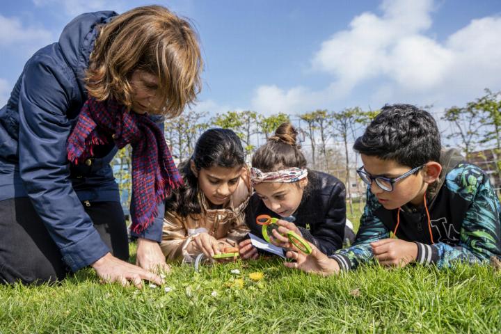 Kinderen op zoek naar soorten tijdens een bioblitz samen met een expert.