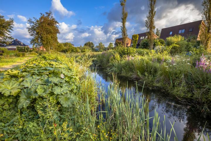 Natuurrijke wijk in Oost Nederland