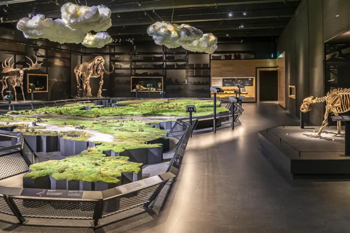 Zaal De IJstijd door Koen Mol