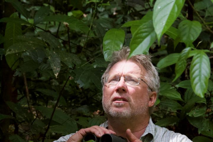 Hans ter Steege in het oerwoud van Frans Guyana