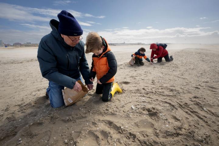 Volwassenen en kinderen tellen schelpen op het strand van Katwijk