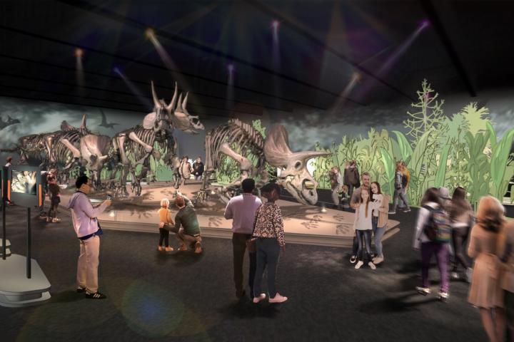 Sfeerbeeld tentoonstelling Triceratops