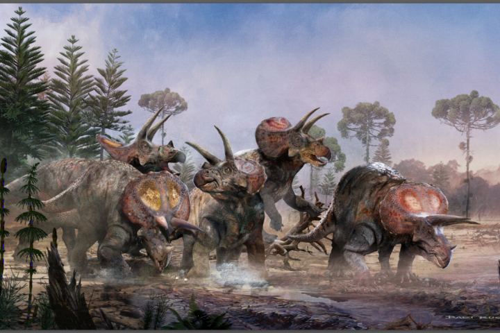 5 Triceratops in a swamp