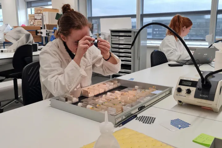 Tamar with fossils on liquids