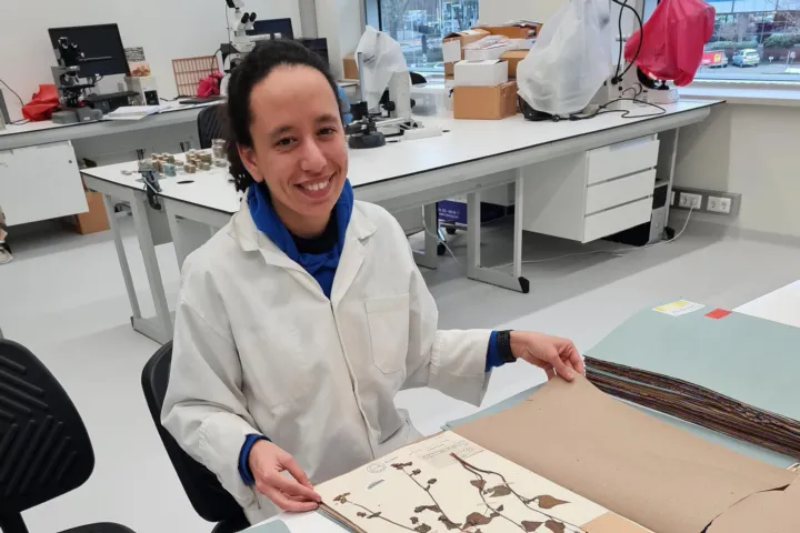 Robin working on the botanie collaction