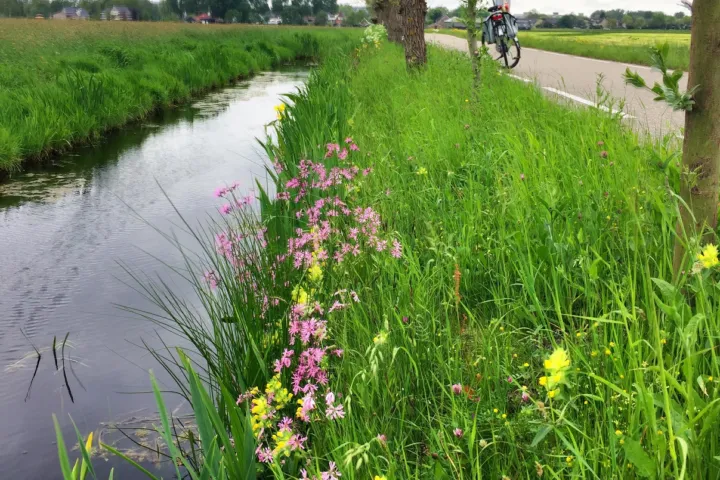 oeverkant