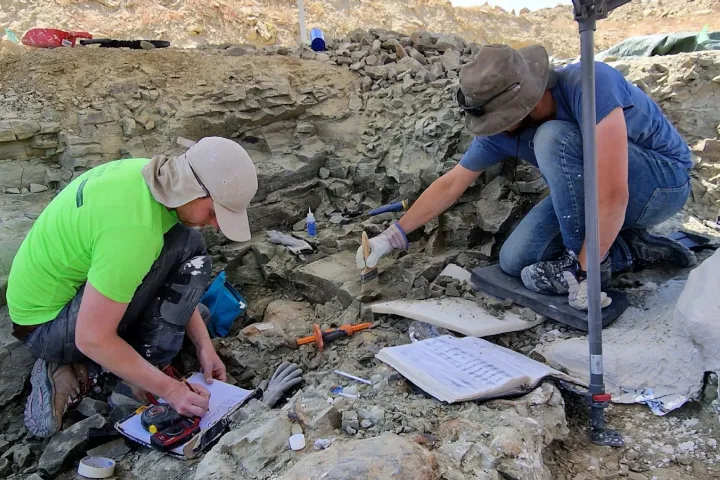 Naturalis is digging for dinosaurs