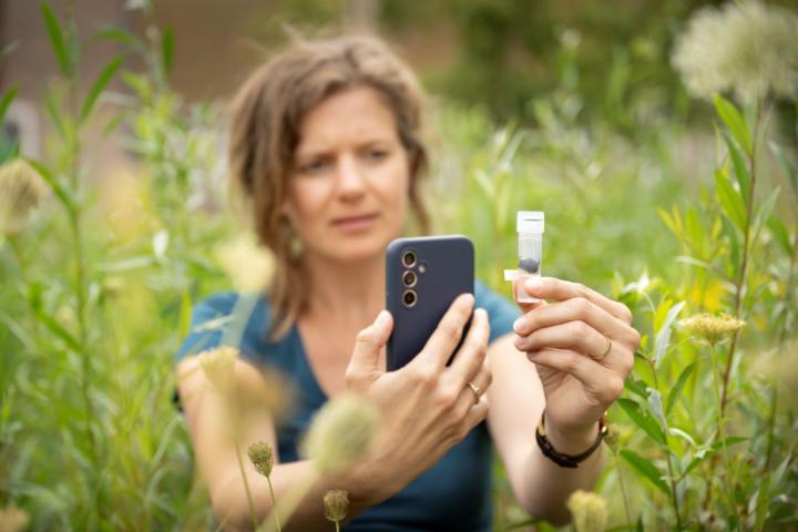Monsters nemen in het veld Credit Taco van der Eb