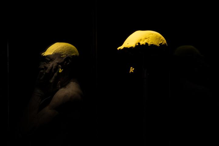 Bright plastic replicas of the fossils