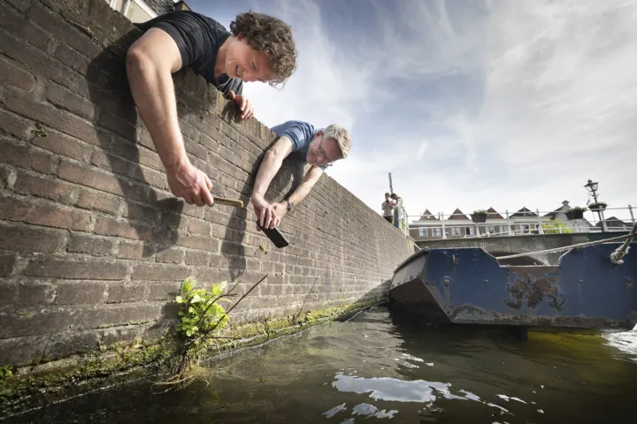 Twee mannen fotograferen een plantje in de gracht