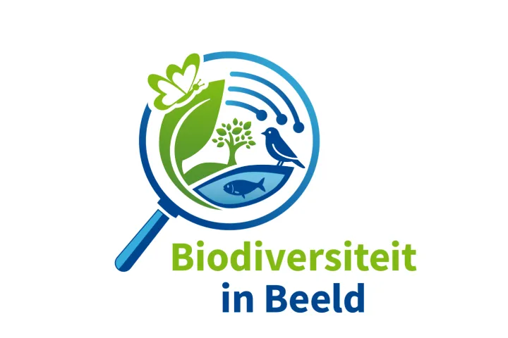 Logo BiB