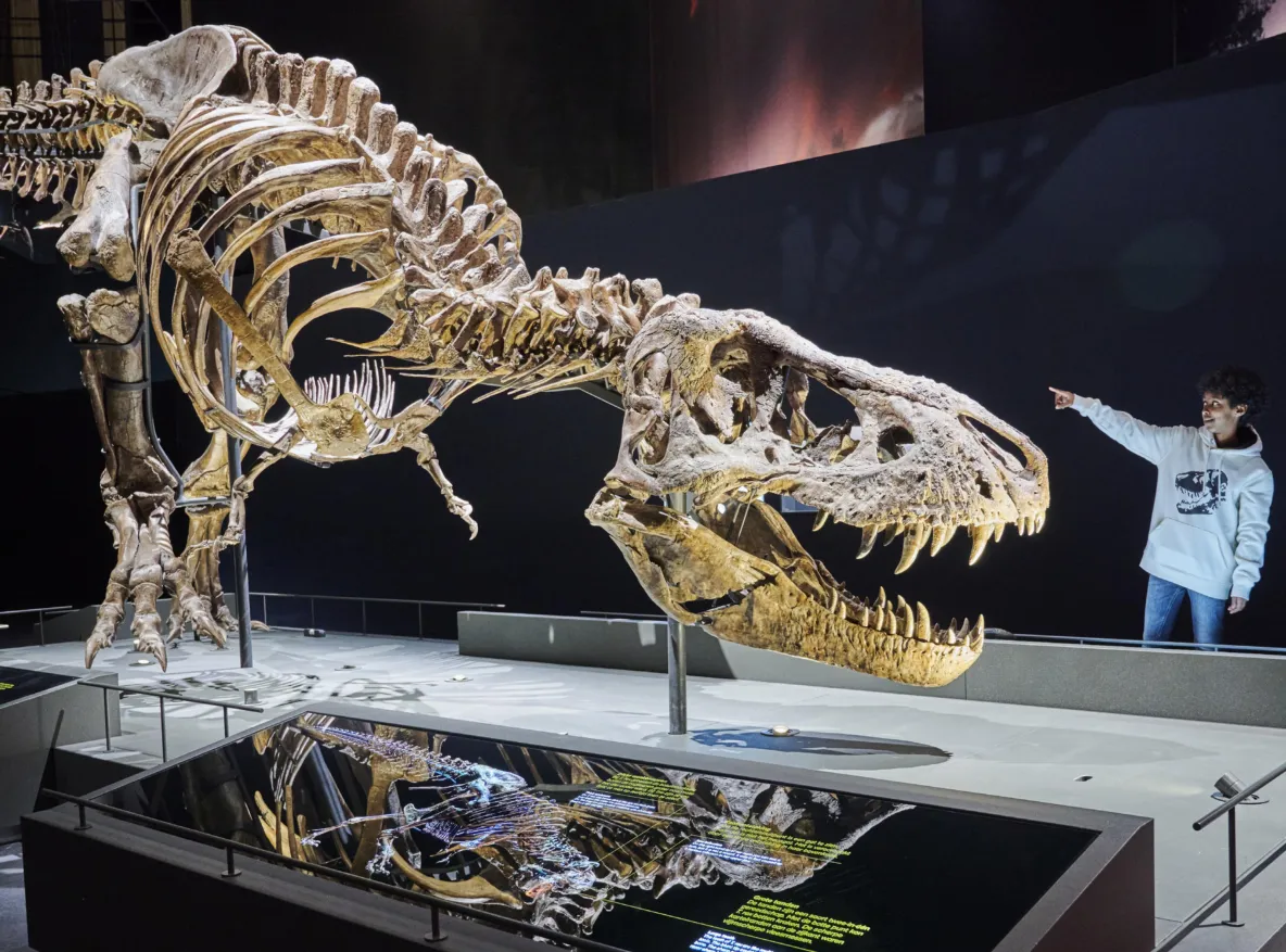 T. rex Trix
