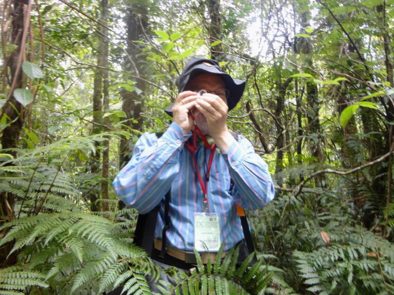 Peter Hovenkamp at work at Gunung Halimun Nature Reserve, Java