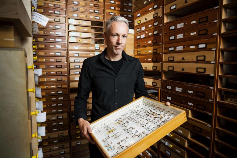 A researcher shows collection