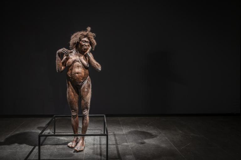 Homo erectus in zaal De vroege mens