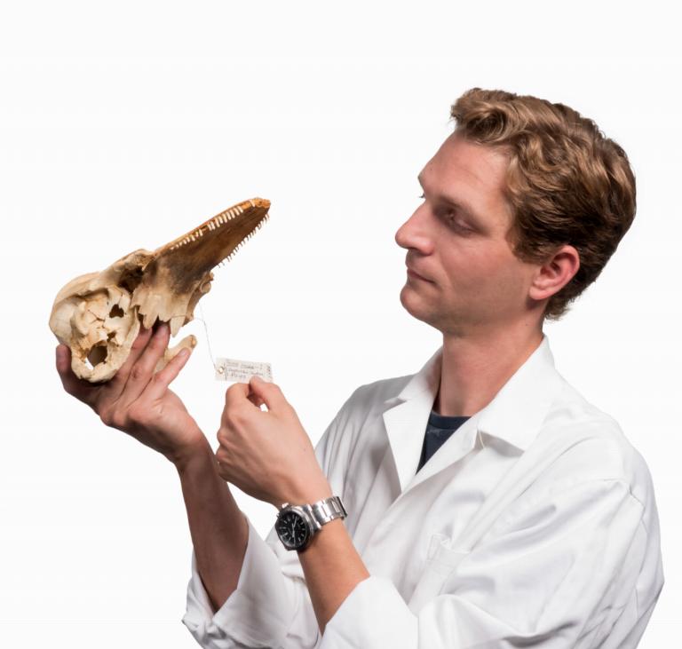 Pepijn Kamminga met bruinvis schedel