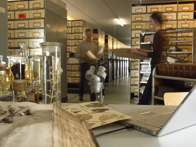 Herbarium