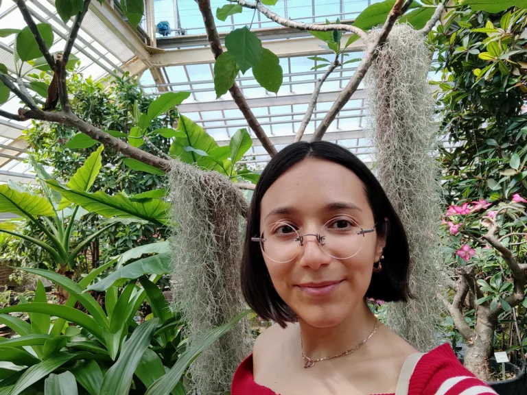 Anai Pereira