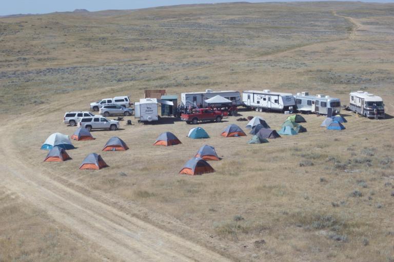 een kudde triceratopsen