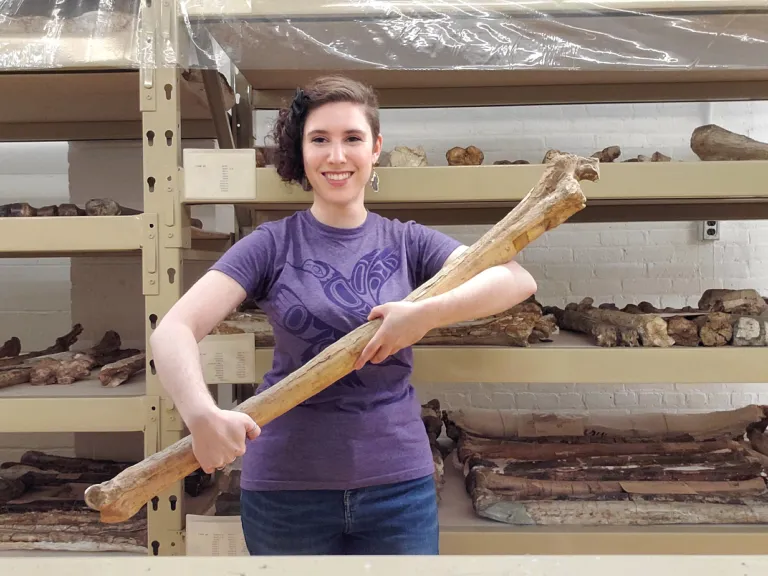 Dr. Robson holding the armbone of an extinct camel