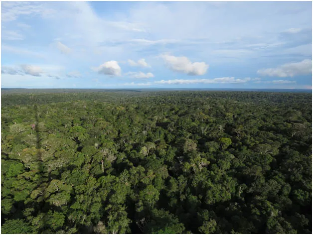 Amazonian atmosphere