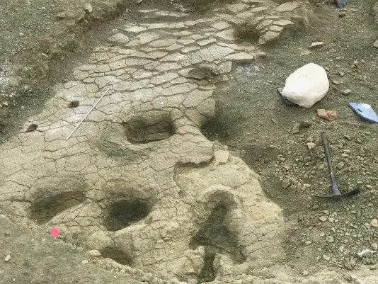 Dinosaurus voetsporen