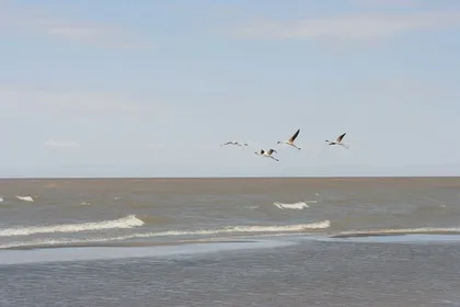 Lake Turkana