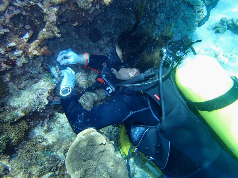 Nicole de Voogd doet onderzoek onder water