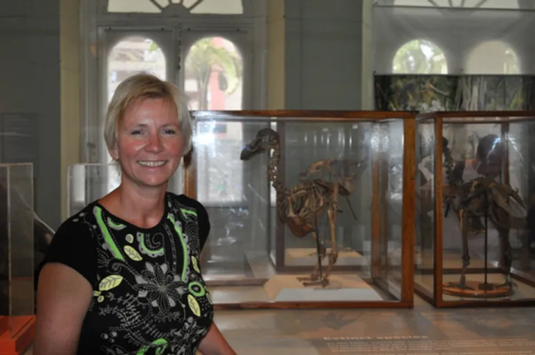 In de dodo gallery