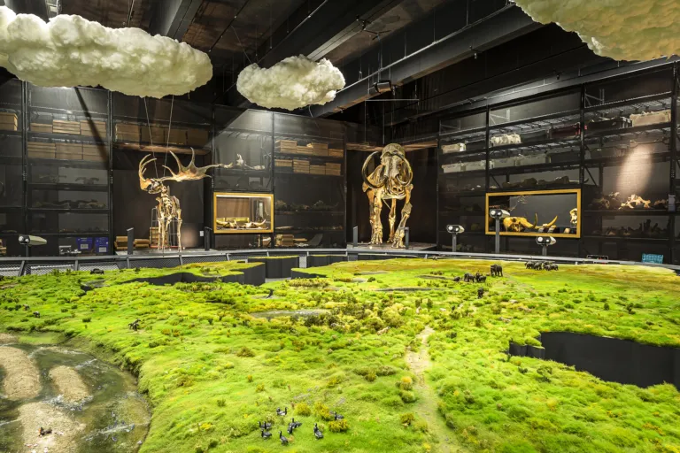 Maquette Ice age