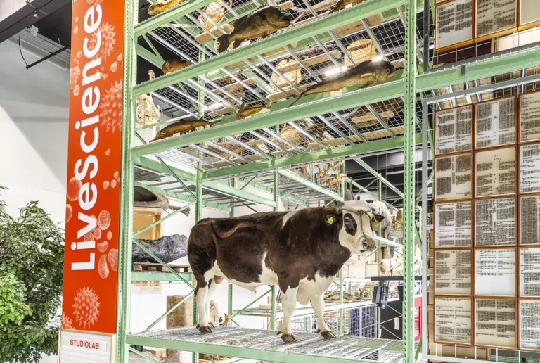 LiveScience collection