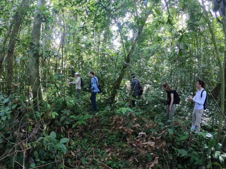 Op onderzoek in het bos